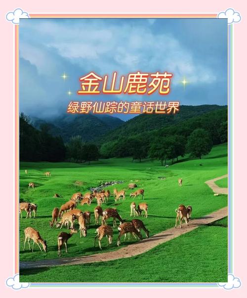 伊春金山鹿苑,四日游必去!