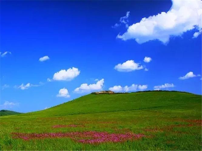 电话:132-6323-0344) 新进网红打卡地于谦老师创办皇家鹿苑草原嘉年华