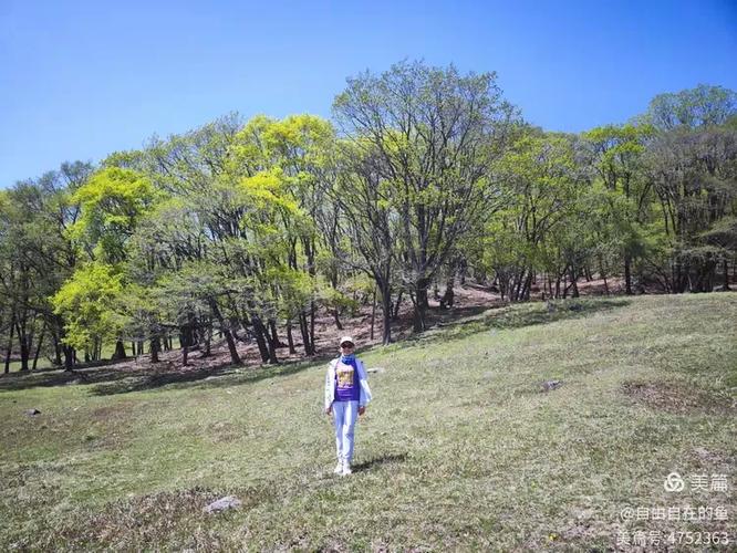 平山鹿苑